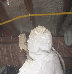 British Columbia  crawl space insulation